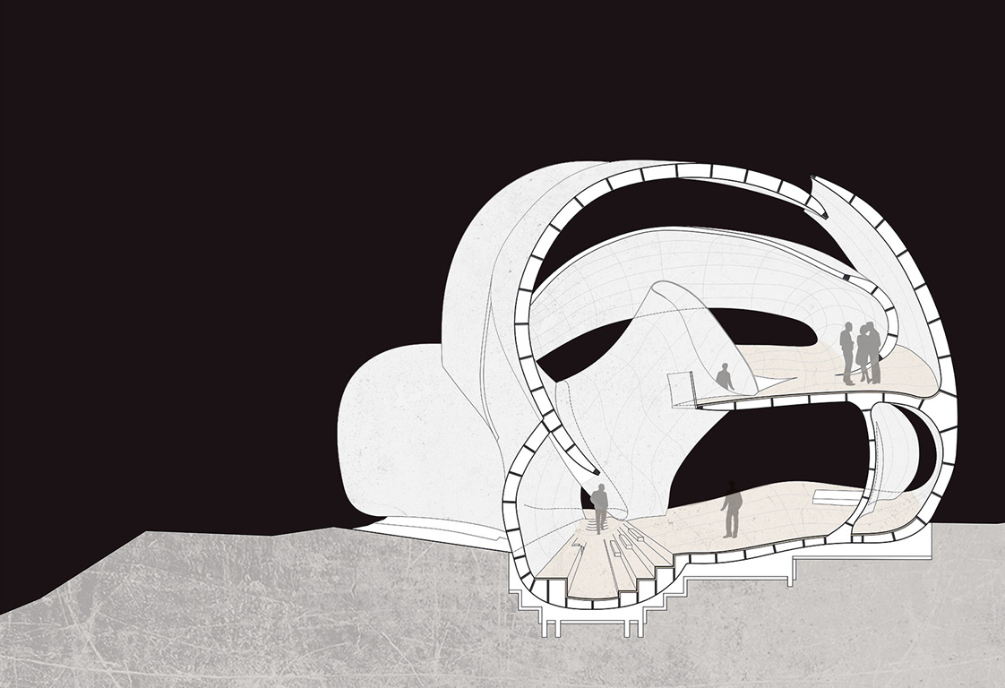 Einfamilienhaus St Margrethen – Querschnitt mit geschwungenem Raumkonzept