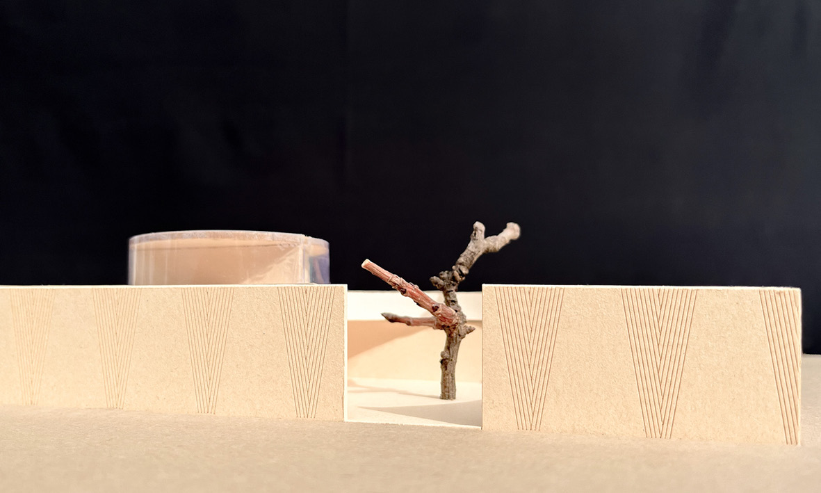 Gewerbebau Feldkirch – Bio-Innovationszentrum mit nachhaltiger Holzarchitektur