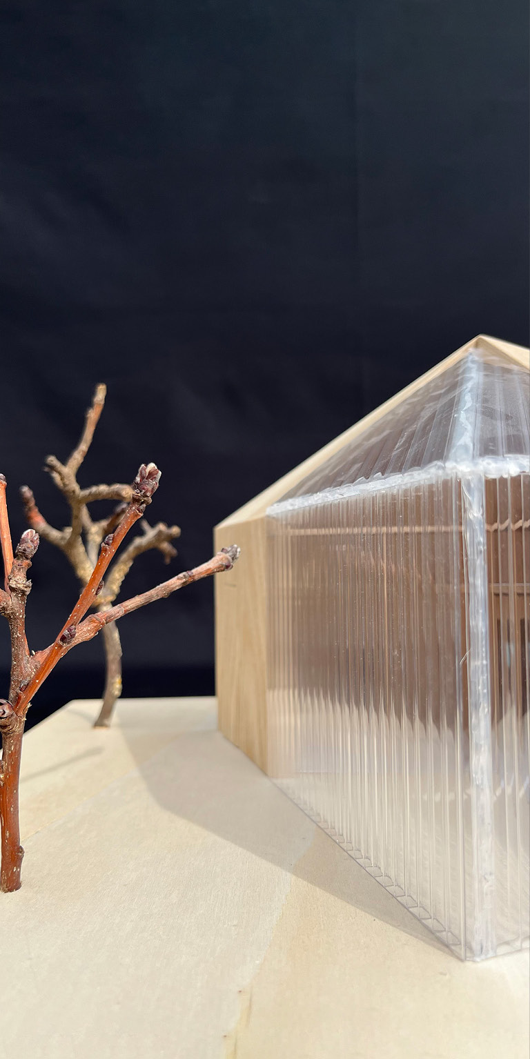 Wohnbau Altstätten Ostschweiz Architektur Einfamilienhaus Modell